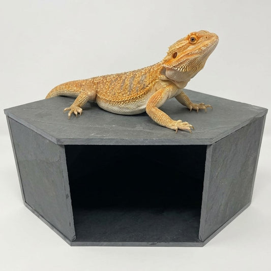 Slate Cave Hide 10x10x6"