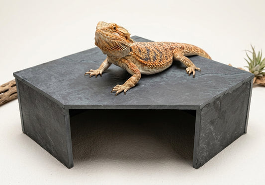 Slate Cave Bottomless Hide 10x10x4"